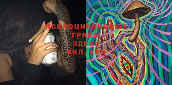 прущий лед Нея
